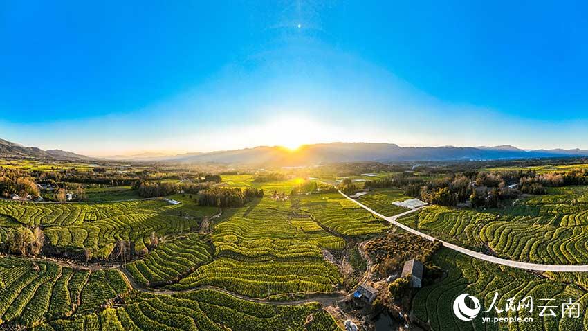 “腾越粮仓”春光好