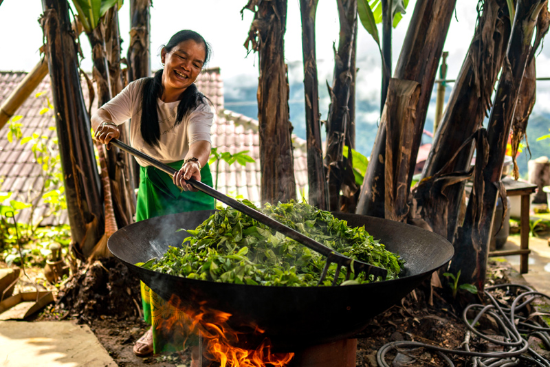 沿着必由之路夺取新的更大胜利 ——习近平总书记2022年全国两会重要讲话精神指引新时代新征程