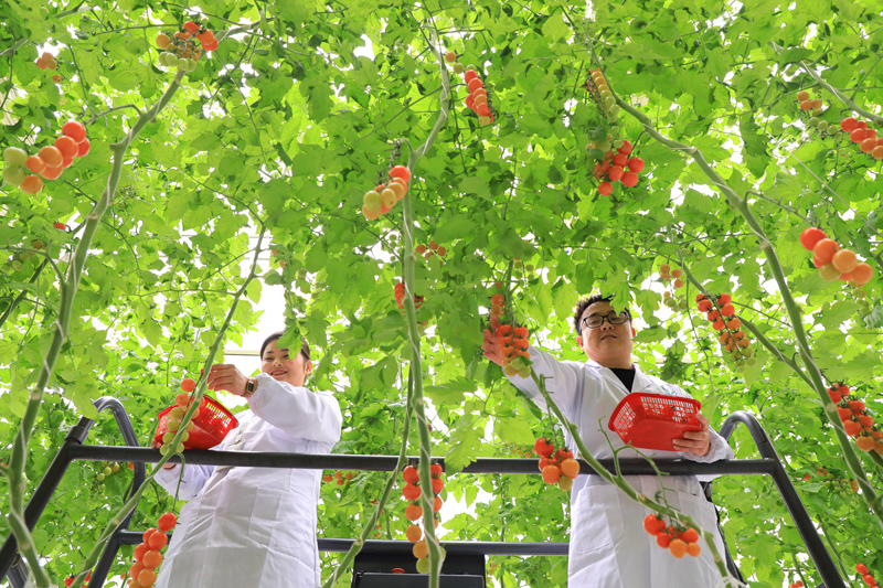 沿着必由之路夺取新的更大胜利 ——习近平总书记2022年全国两会重要讲话精神指引新时代新征程