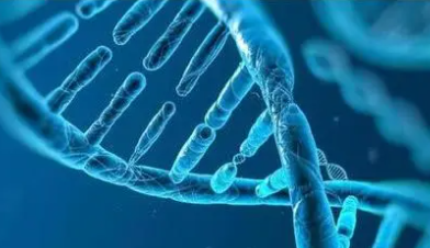 “脊椎动物基因组计划”公布系列重磅成果